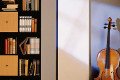 ДИЗАЙНЕРСКИЙ РАДИАТОР ZEHNDER PLANO ВЕРТИКАЛЬНЫЙ